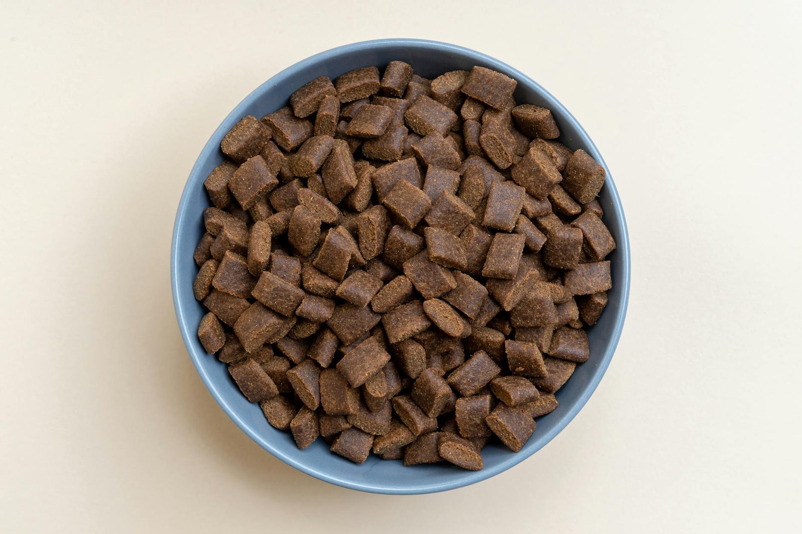 raw dog food vs kibble
