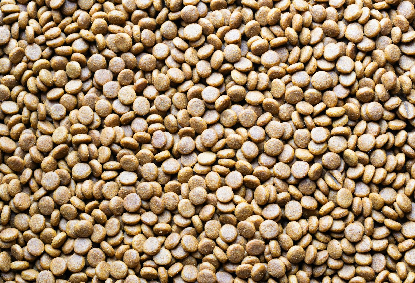 grain-free vs grain-inclusive pet food