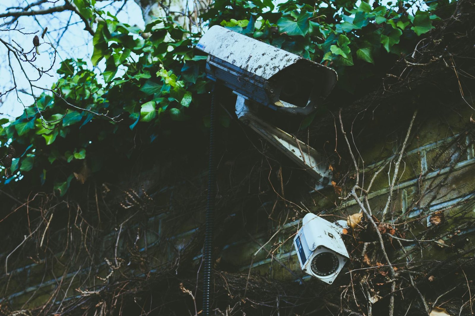 DIY vs Professionally Monitored Home Security