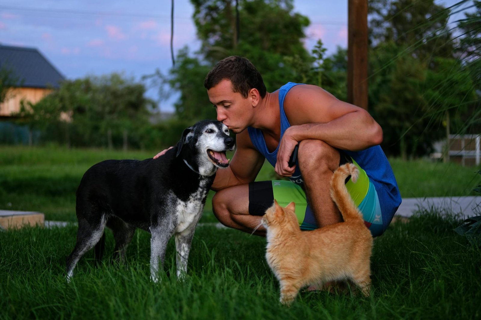 pawp telehealth for pets review
