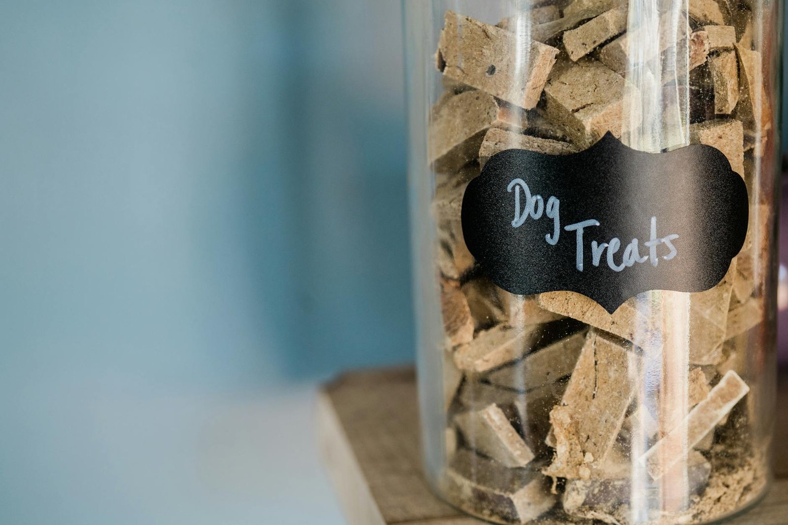how to read pet food labels