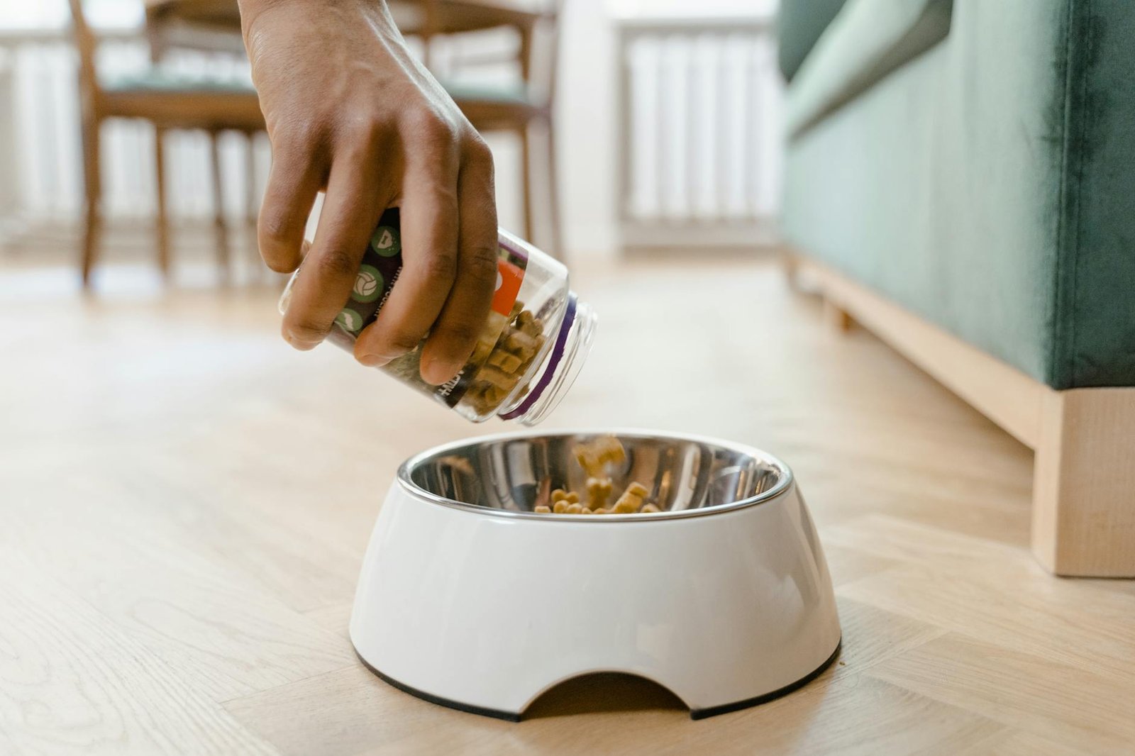 best pet nutrition for senior pet owners