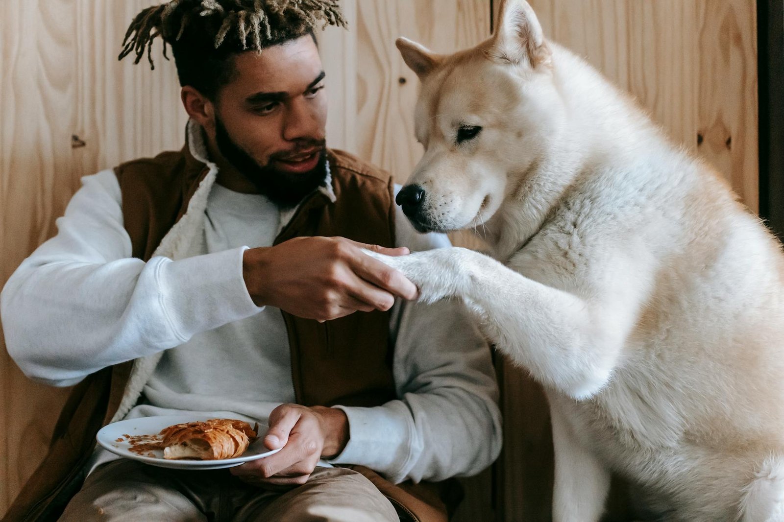 best pet nutrition for large breed owners