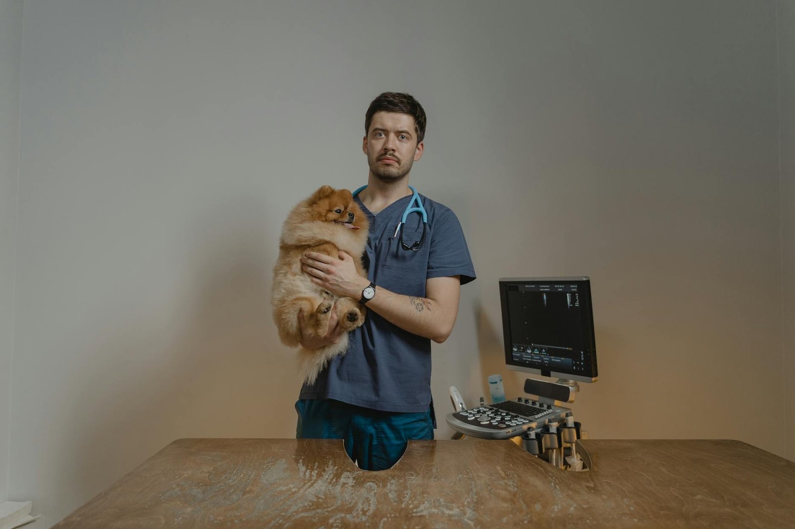 Honest Expert Review: Hill's vs Royal Canin 2026