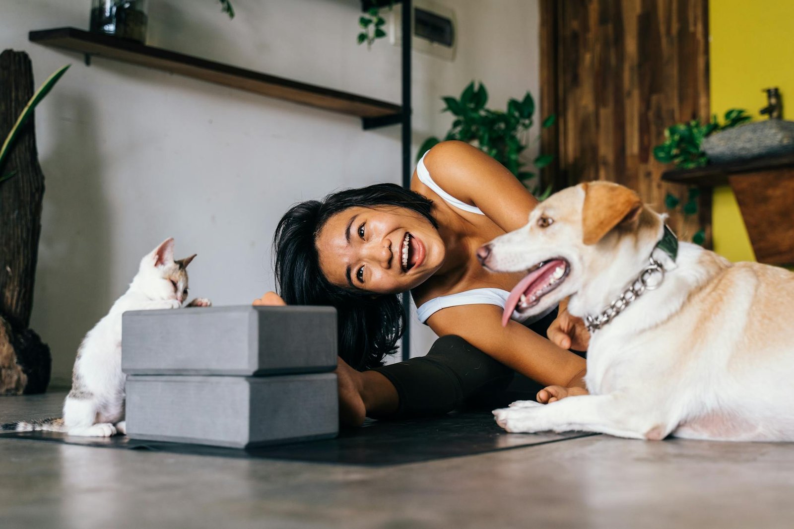 best pet nutrition for active pet owners