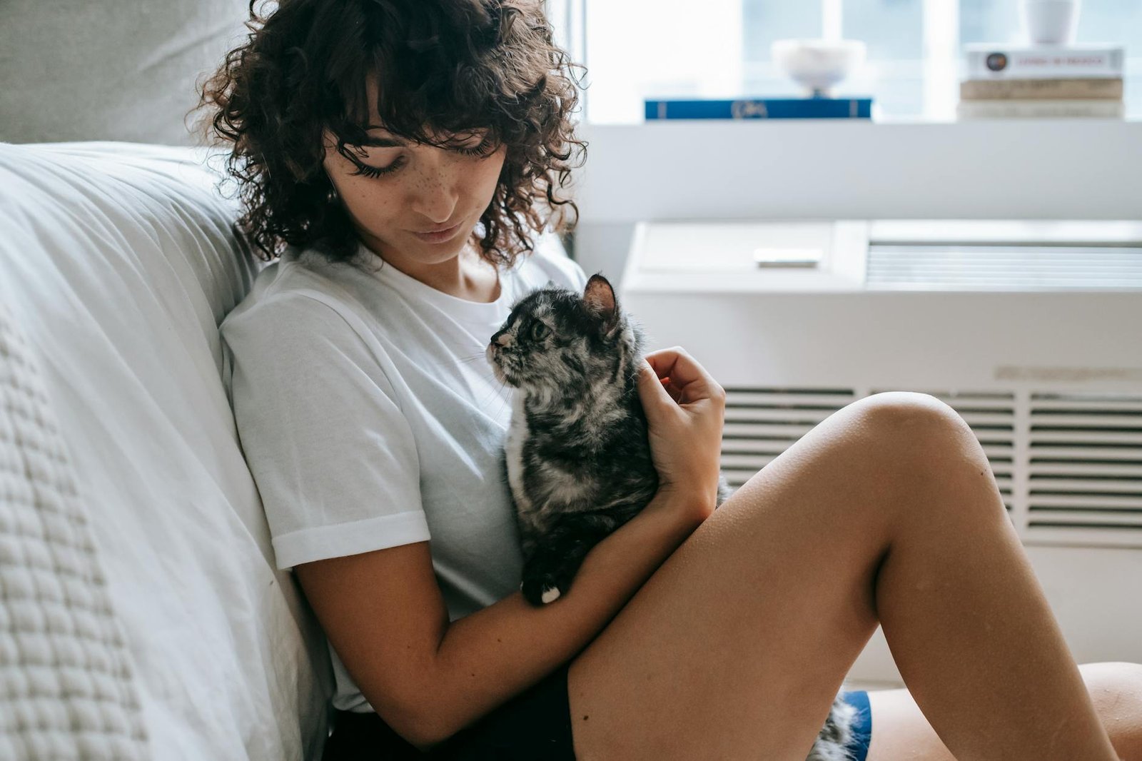 best pet nutrition for cat owners