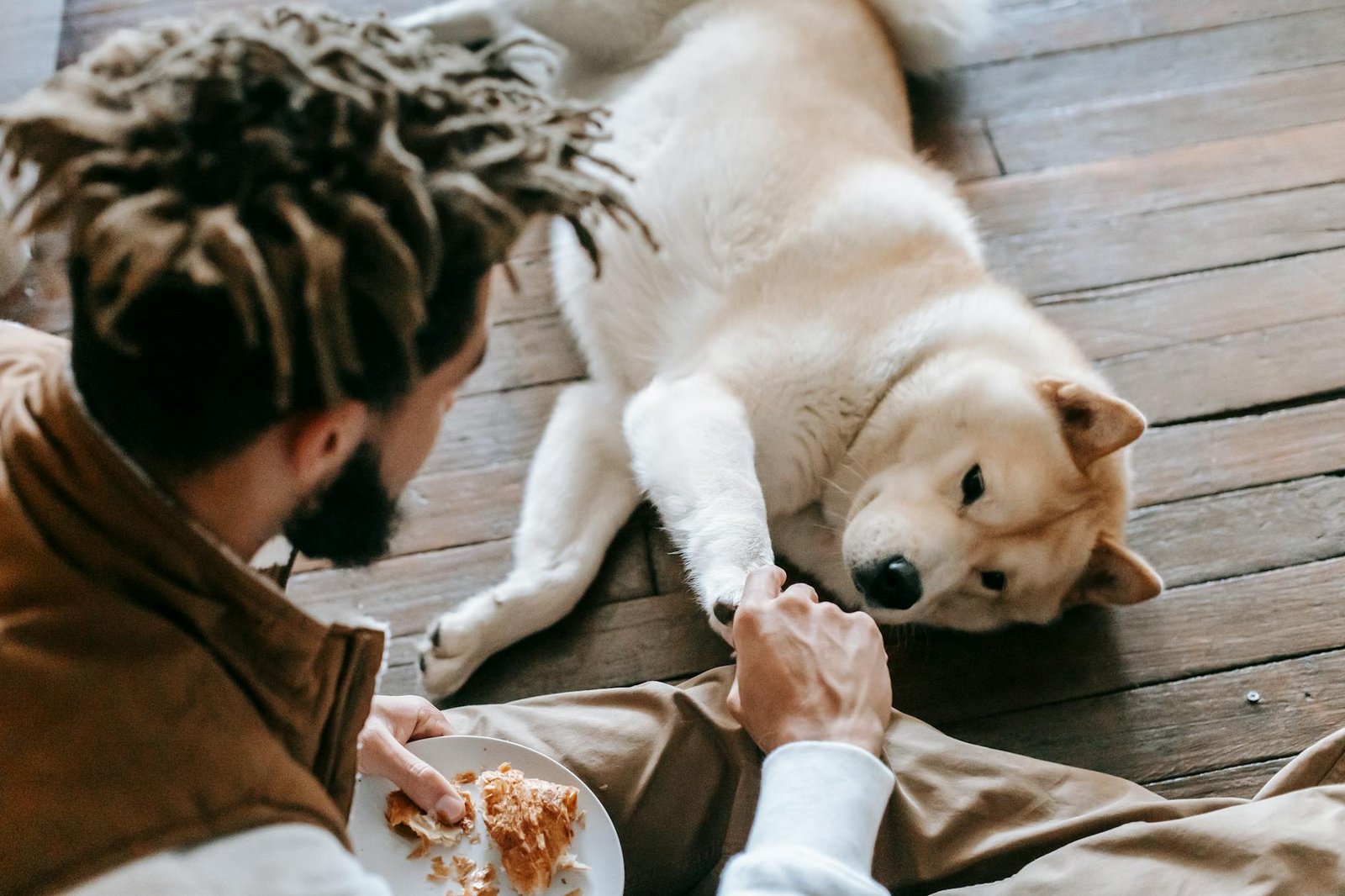 7 Trusted Budget Pet Food Guide 2026 Picks Proven