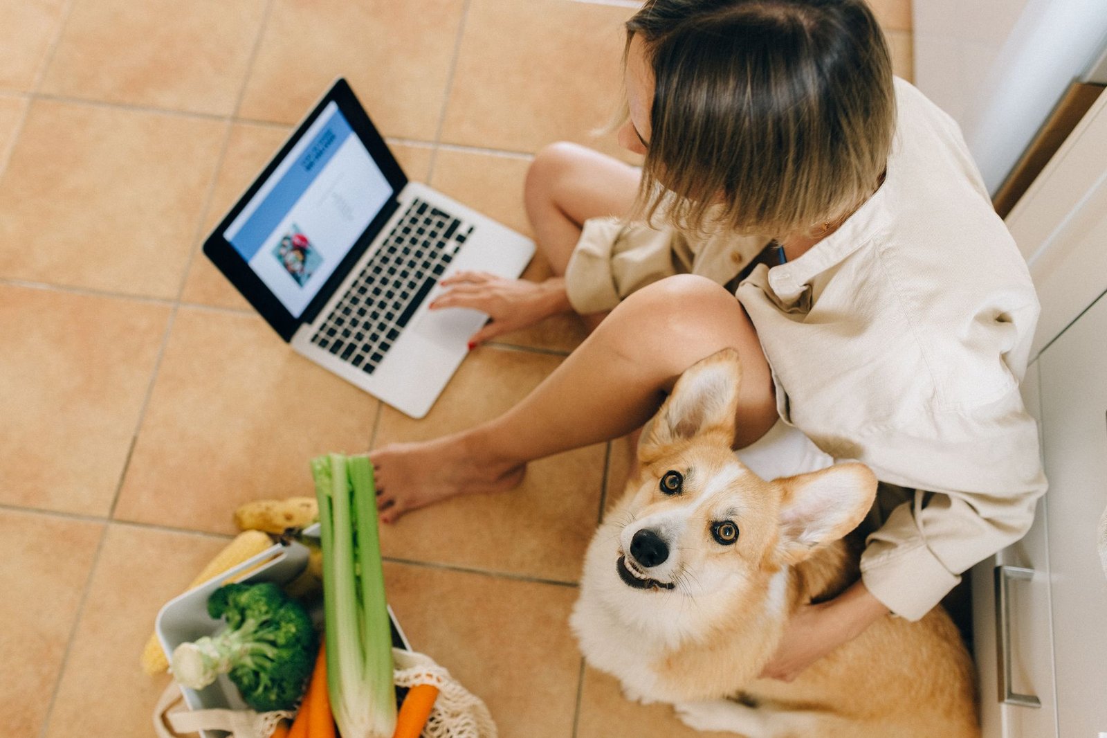 Budget-Friendly Pet Food Options: Healthy Eating on a Shoestring (2026 Guide)