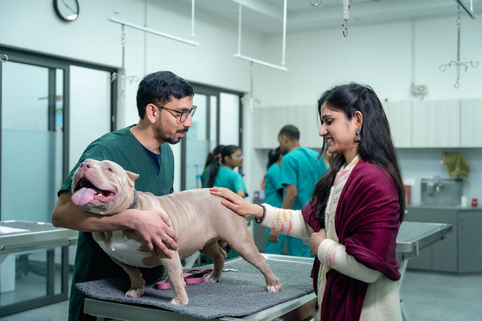 Best Pet Health Products in 2026: Vet-Recommended Guide