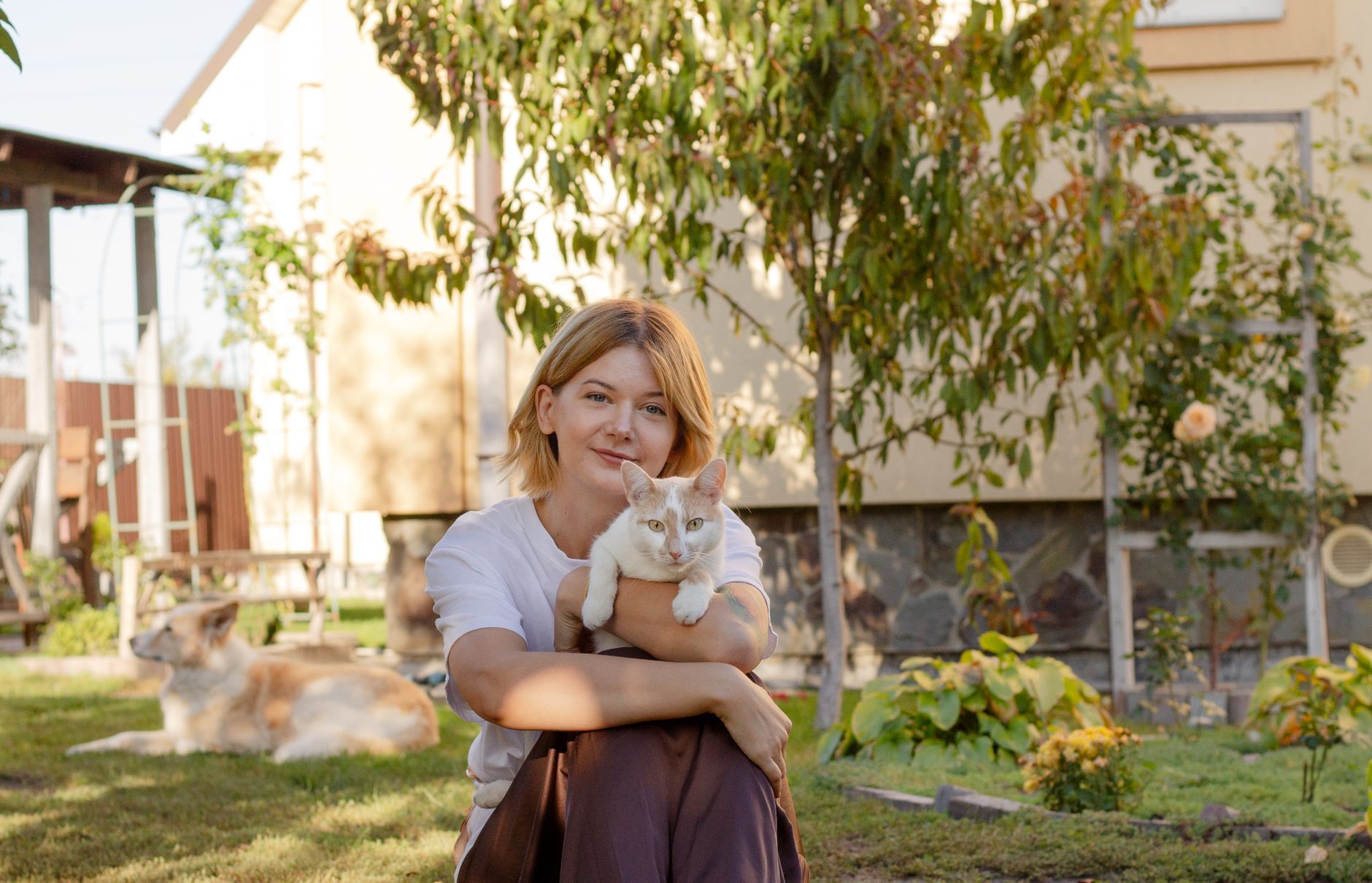best cat supplements for joint health