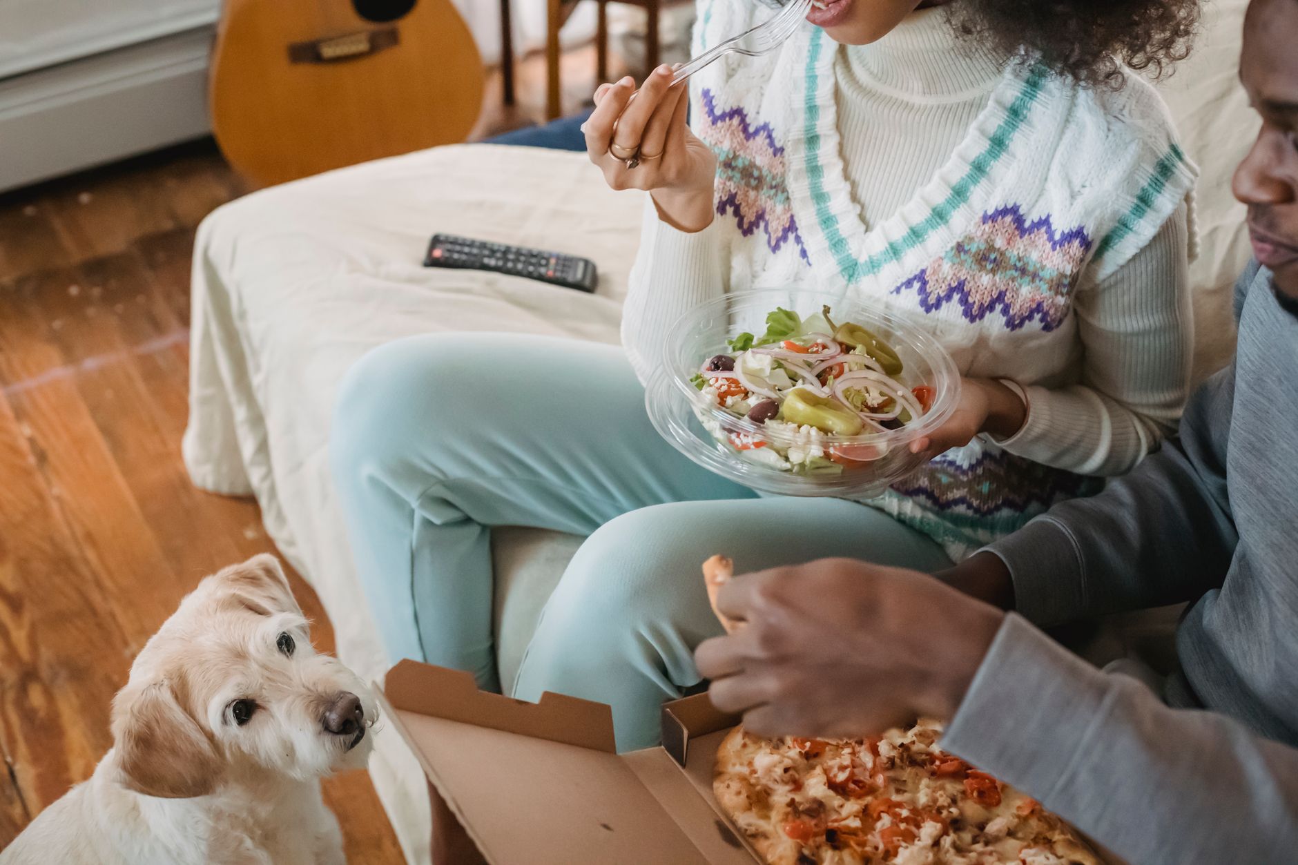 Honest Ollie Dog Food Review 2026: Worth the Cost?